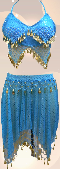 Belly Dance Costume / Coins 2 Pcs Set
