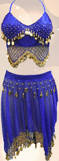 Belly Dance Costume / Coins 2 Pcs Set