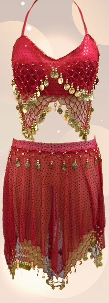 Belly Dance Costume / Coins 2 Pcs Set