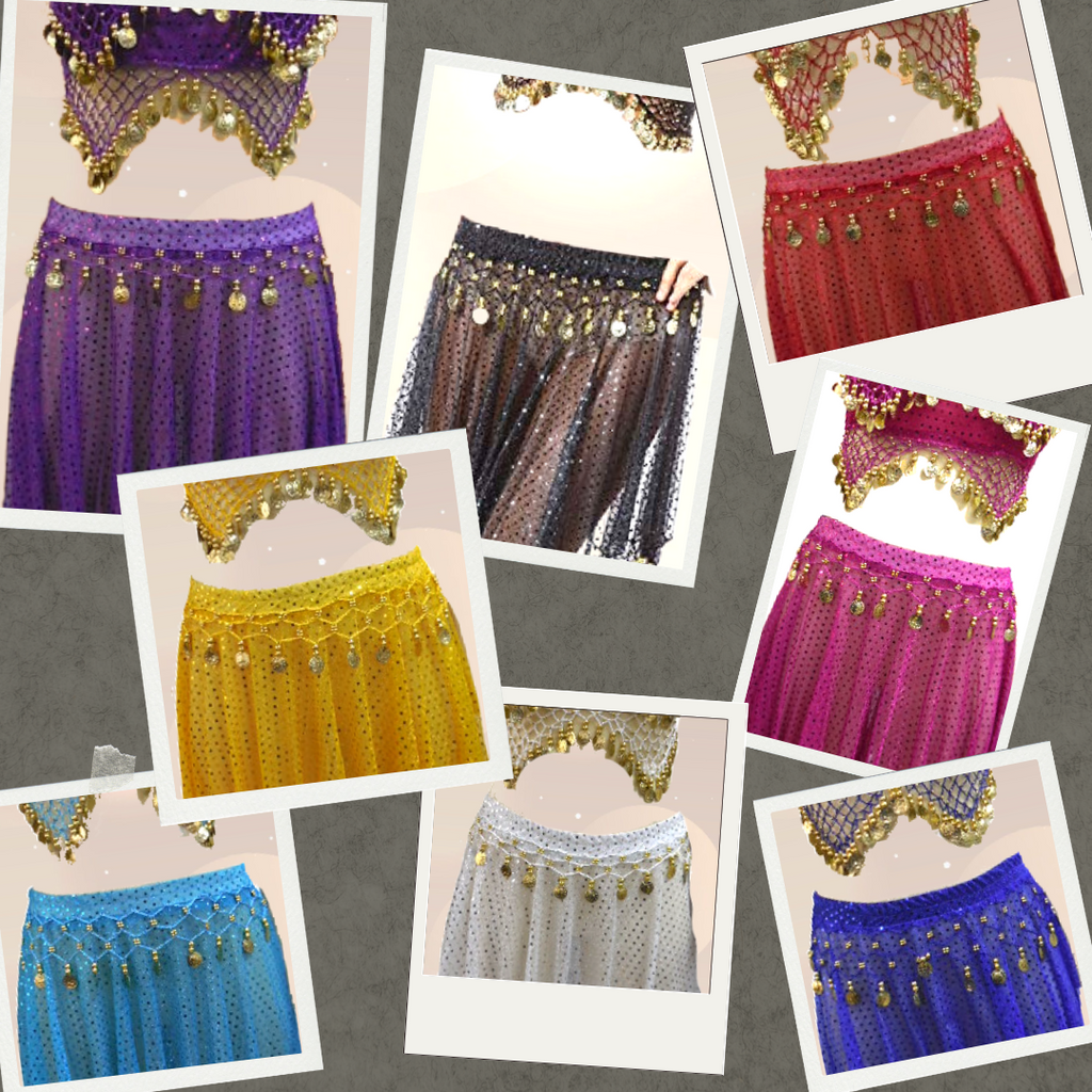 Belly Dance Costume / Coins 2 Pcs Set