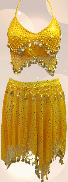 Belly Dance Costume / Coins 2 Pcs Set