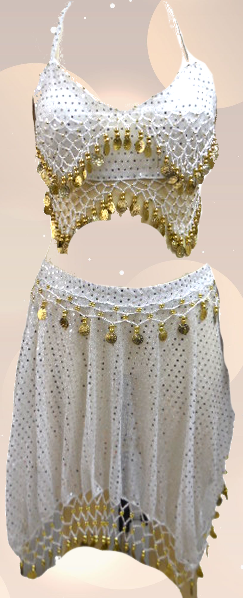 Belly Dance Costume / Coins 2 Pcs Set